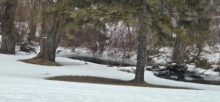 Turn-Key Deli Business Atlanta, MI – Investment Opportunity - image 2