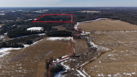 Portage County Wisconsin 80 Acres of Hunting Land for Sale - image 1