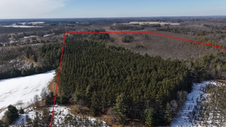 Portage County Wisconsin 80 Acres of Hunting Land for Sale - image 11