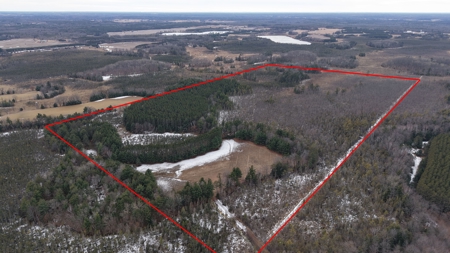 Portage County Wisconsin 80 Acres of Hunting Land for Sale - image 3