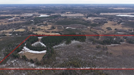 Portage County Wisconsin 80 Acres of Hunting Land for Sale - image 6