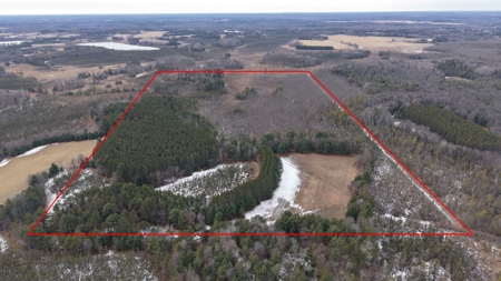 Portage County Wisconsin 80 Acres of Hunting Land for Sale - image 4