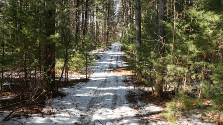 Portage County Wisconsin 80 Acres of Hunting Land for Sale - image 19