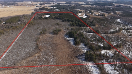 Portage County Wisconsin 80 Acres of Hunting Land for Sale - image 8