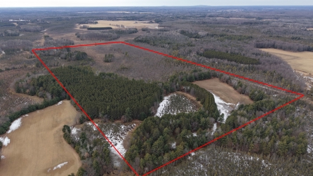 Portage County Wisconsin 80 Acres of Hunting Land for Sale - image 5
