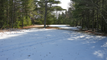 Portage County Wisconsin 80 Acres of Hunting Land for Sale - image 23