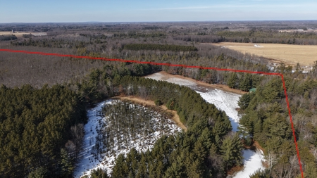 Portage County Wisconsin 80 Acres of Hunting Land for Sale - image 12
