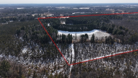 Portage County Wisconsin 80 Acres of Hunting Land for Sale - image 2