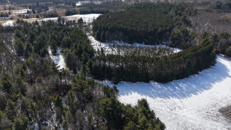 Portage County Wisconsin 80 Acres of Hunting Land for Sale - image 14
