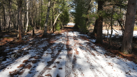Portage County Wisconsin 80 Acres of Hunting Land for Sale - image 24