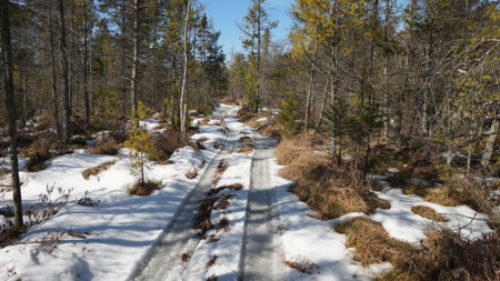 Portage County Wisconsin 80 Acres of Hunting Land for Sale - image 16