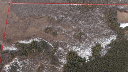Portage County Wisconsin 80 Acres of Hunting Land for Sale - image 9