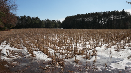 Portage County Wisconsin 80 Acres of Hunting Land for Sale - image 21