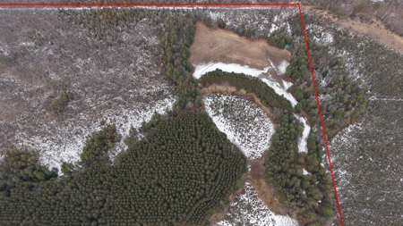 Portage County Wisconsin 80 Acres of Hunting Land for Sale - image 13