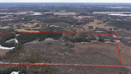 Portage County Wisconsin 80 Acres of Hunting Land for Sale - image 7
