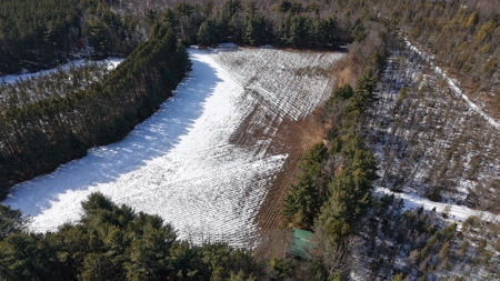 Portage County Wisconsin 80 Acres of Hunting Land for Sale - image 15