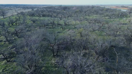 45 acres of Land for Sale Archer County - image 5