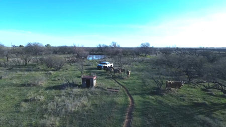 45 acres of Land for Sale Archer County - image 4