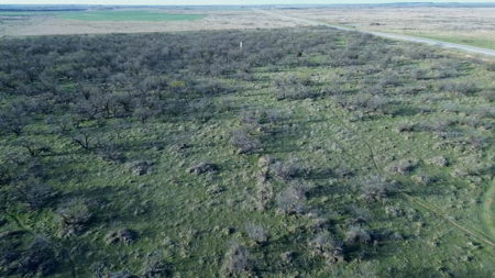 45 acres of Land for Sale Archer County - image 2