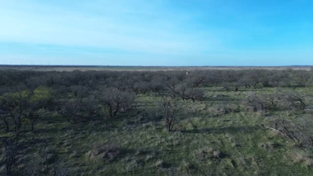 45 acres of Land for Sale Archer County - image 10