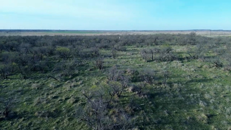 45 acres of Land for Sale Archer County - image 11