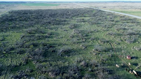 45 acres of Land for Sale Archer County - image 9