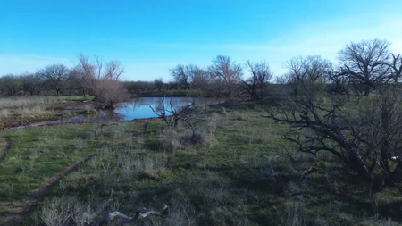 45 acres of Land for Sale Archer County - image 14
