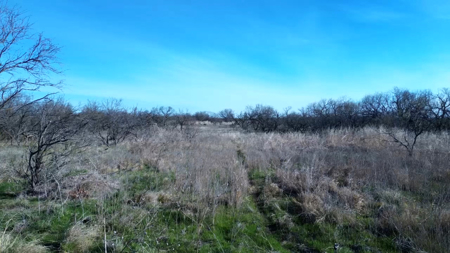 160 acres of Land for in Sale in Archer County, TX - image 9