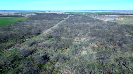 160 acres of Land for in Sale in Archer County, TX - image 5