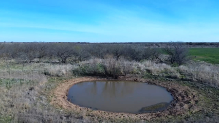 160 acres of Land for in Sale in Archer County, TX - image 2