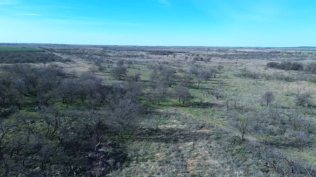 160 acres of Land for in Sale in Archer County, TX - image 20