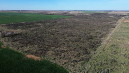 160 acres of Land for in Sale in Archer County, TX - image 19