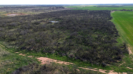160 acres of Land for in Sale in Archer County, TX - image 23
