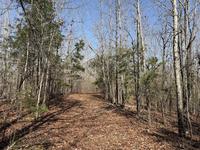 Land & Home For Sale In Tn, Basement, Well, Creek, Wooded - image 25