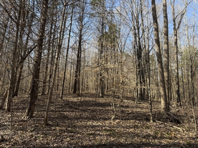 Land & Home For Sale In Tn, Basement, Well, Creek, Wooded - image 42
