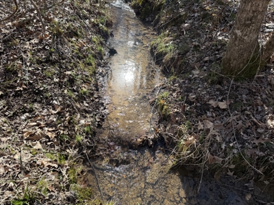 Land & Home For Sale In Tn, Basement, Well, Creek, Wooded - image 40