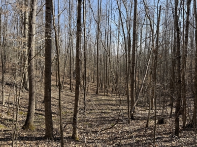 Land & Home For Sale In Tn, Basement, Well, Creek, Wooded - image 28