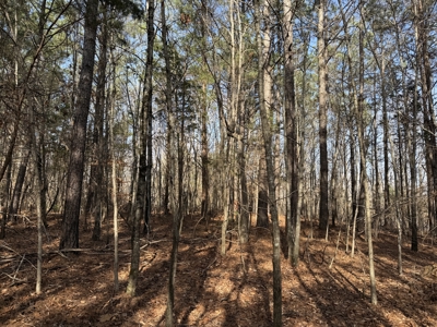 Land & Home For Sale In Tn, Basement, Well, Creek, Wooded - image 47