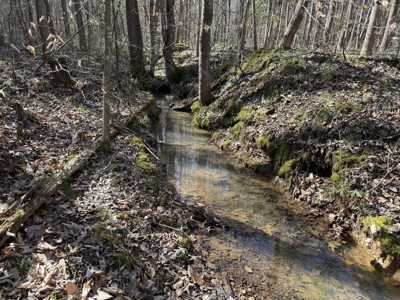 Land & Home For Sale In Tn, Basement, Well, Creek, Wooded - image 31