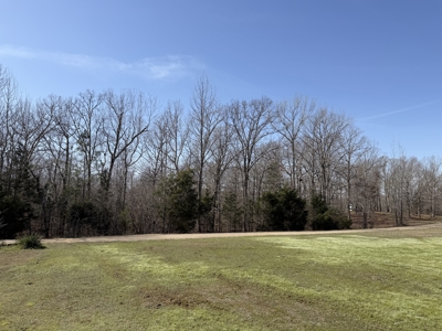 Land & Home For Sale In Tn, Basement, Well, Creek, Wooded - image 22