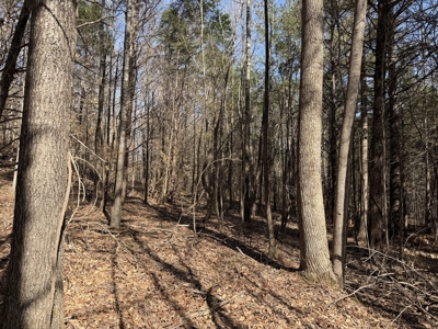 Land & Home For Sale In Tn, Basement, Well, Creek, Wooded - image 29