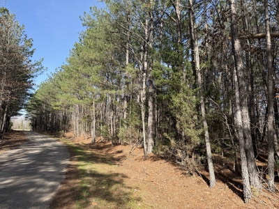 Land & Home For Sale In Tn, Basement, Well, Creek, Wooded - image 3