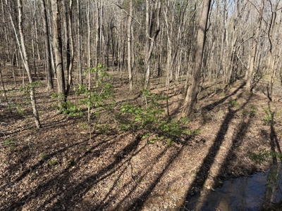 Land & Home For Sale In Tn, Basement, Well, Creek, Wooded - image 36