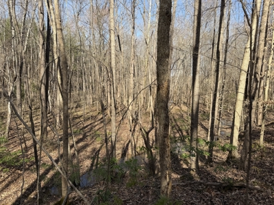 Land & Home For Sale In Tn, Basement, Well, Creek, Wooded - image 35
