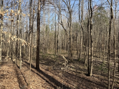 Land & Home For Sale In Tn, Basement, Well, Creek, Wooded - image 45