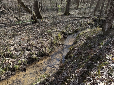Land & Home For Sale In Tn, Basement, Well, Creek, Wooded - image 41