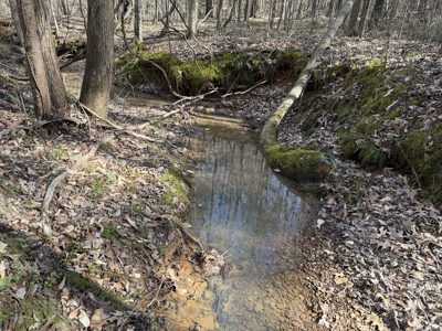 Land & Home For Sale In Tn, Basement, Well, Creek, Wooded - image 2