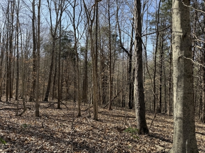 Land & Home For Sale In Tn, Basement, Well, Creek, Wooded - image 38