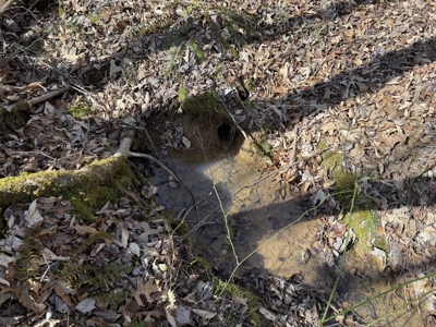Land & Home For Sale In Tn, Basement, Well, Creek, Wooded - image 43
