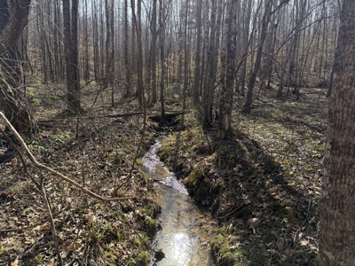 Land & Home For Sale In Tn, Basement, Well, Creek, Wooded - image 4